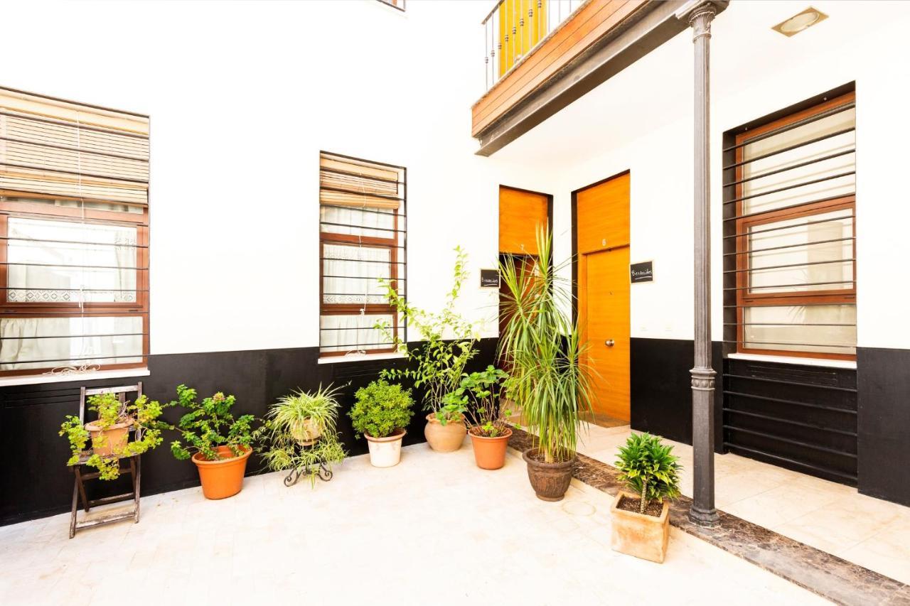 Dreams Alameda Appartement *